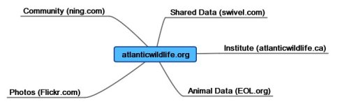 atlanticwildlifeorg.jpg