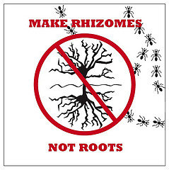 Rhizomes & Roots by @VenessaMiemis