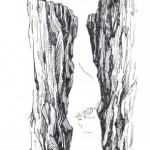 Social business on the edge of the chasm