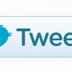 What the network saw