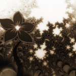 The creative surplus