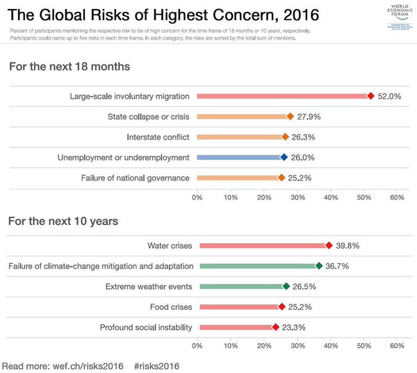 WEF Global Risk Report