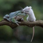 skepticism and complexity