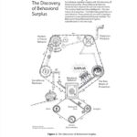 markets for behavioral surplus